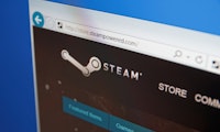 Steam-Boss: Hälfte der Bitcoin-Transaktionen waren Betrug