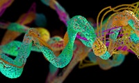 Proteinfaltung: Deepmind-KI löst jahrzehntealtes Wissenschaftsproblem
