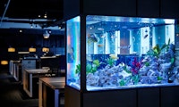 Risikofaktor IoT: Casino durch Aquarium gehackt