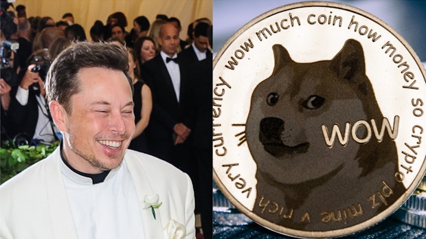 Elon Musk besitzt jetzt Dogecoin Dennoch liegt der Doge-Preis immer noch unter 01 USD