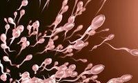 Neue Forschung: Sperma hält sich 200 Jahre lang auf der ISS