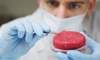 Burger aus der Petrischale – Unternehmen treiben Laborfleisch voran
