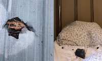 Meteorit kracht durch Hausdach und verfehlt schlafende Kanadierin nur knapp