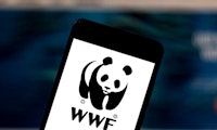 WWF will mit virtueller Krypto-Kunst bedrohte Tierarten retten