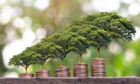 Nachhaltige Geldanlage: Ist ESG Qualitätssiegel oder Mogelpackung?