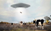 Ufo-Sichtungen: Nasa-Chef spekuliert über Alien-Technologie