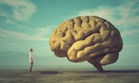 Der Kopf ist ab, das Hirn lebt weiter – Wissenschaftler testet, wie lang das geht
