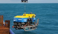 Roboter versus Krabbe: Tierische Sabotage bei Unterwassermission